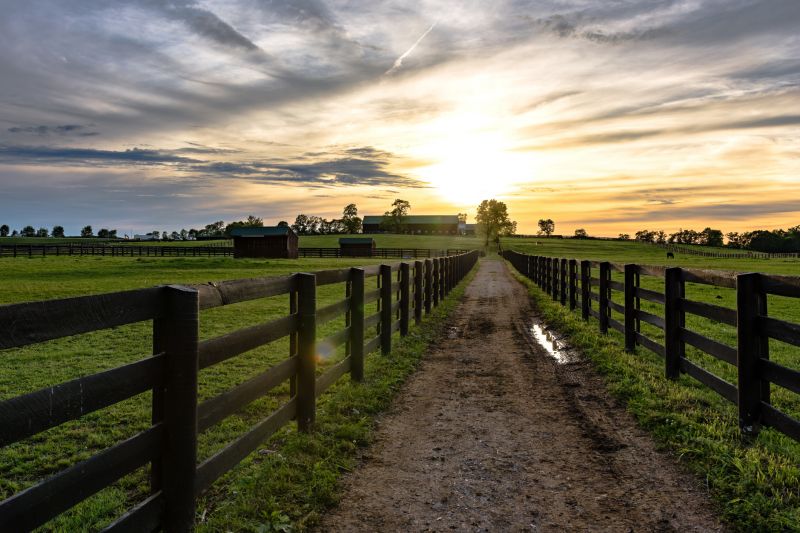 Brick Fence at Sunset